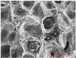 圖片28.jpg 圖片28.jpg